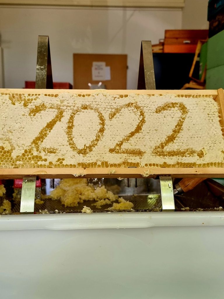 Honigwabe mit 2022 Schriftzug