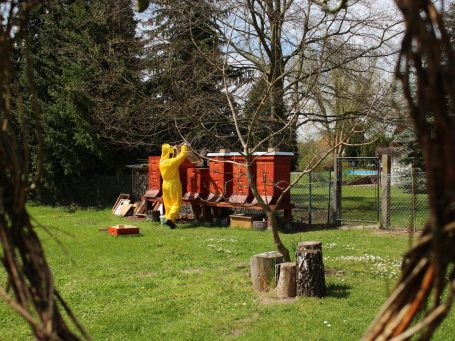 Bienenstand der Imkerei Gründer in Bohsdorf-Vorwerk